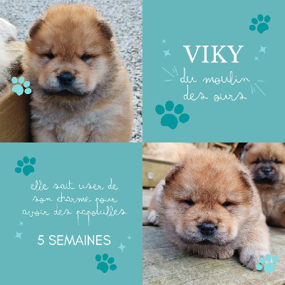 VIKY